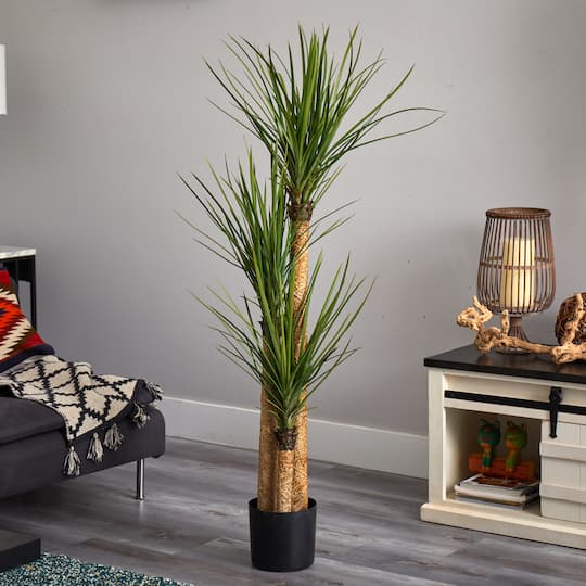 4.8ft. Potted Yucca Tree